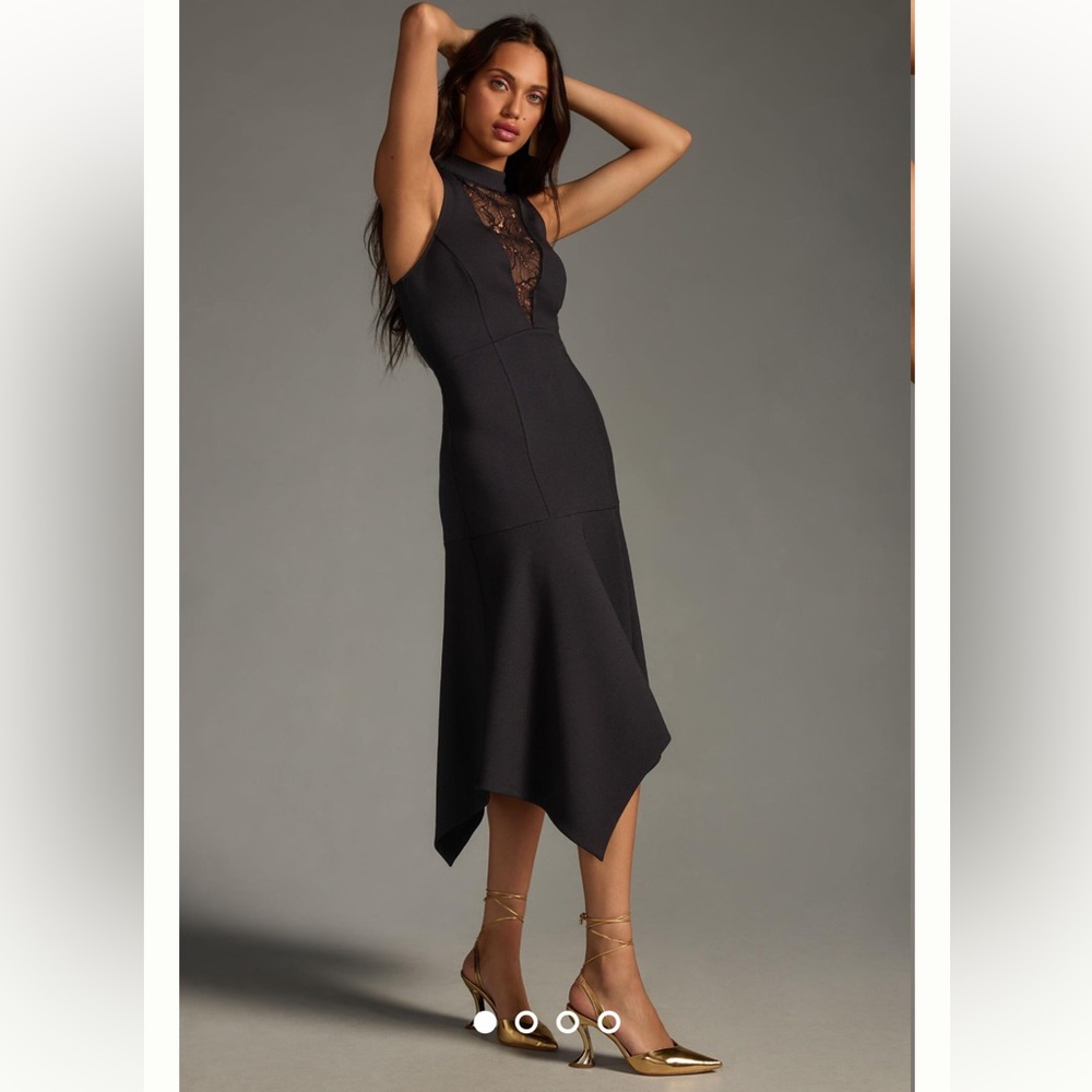 Anthropologie NWTv Mock-Neck Lace-Inset Fit & Flare Dress Size XL.